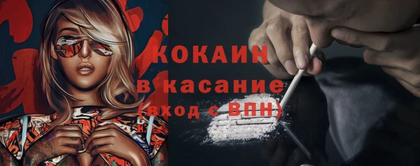 тгк Богородск