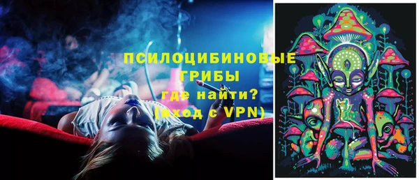 тгк Богородск