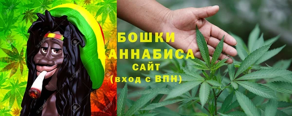 тгк Богородск