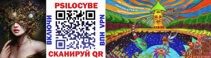 где можно купить наркотик  Кодинск  Псилоцибиновые грибы Psilocybe 
